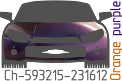 Orange purple chameleon Ch-593215-231612