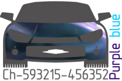 Purple blue chameleon Ch-593215-456352